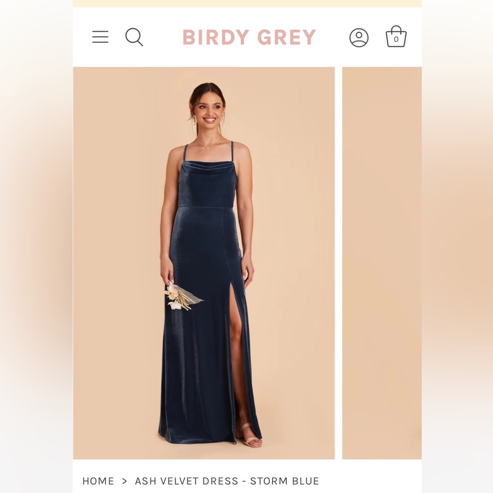 Birdy Grey Ash Velvet Dress Storm Blue